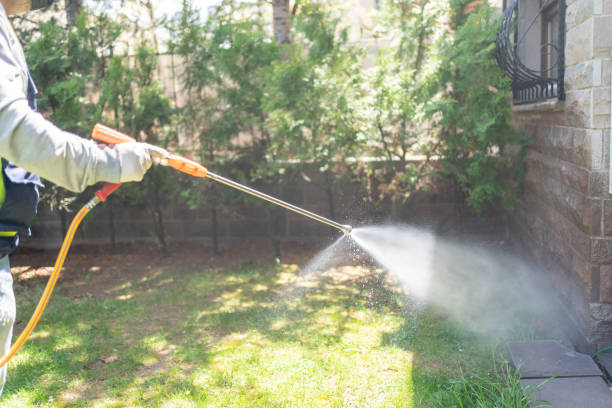 Best Pest Prevention Services  in Independence, VA